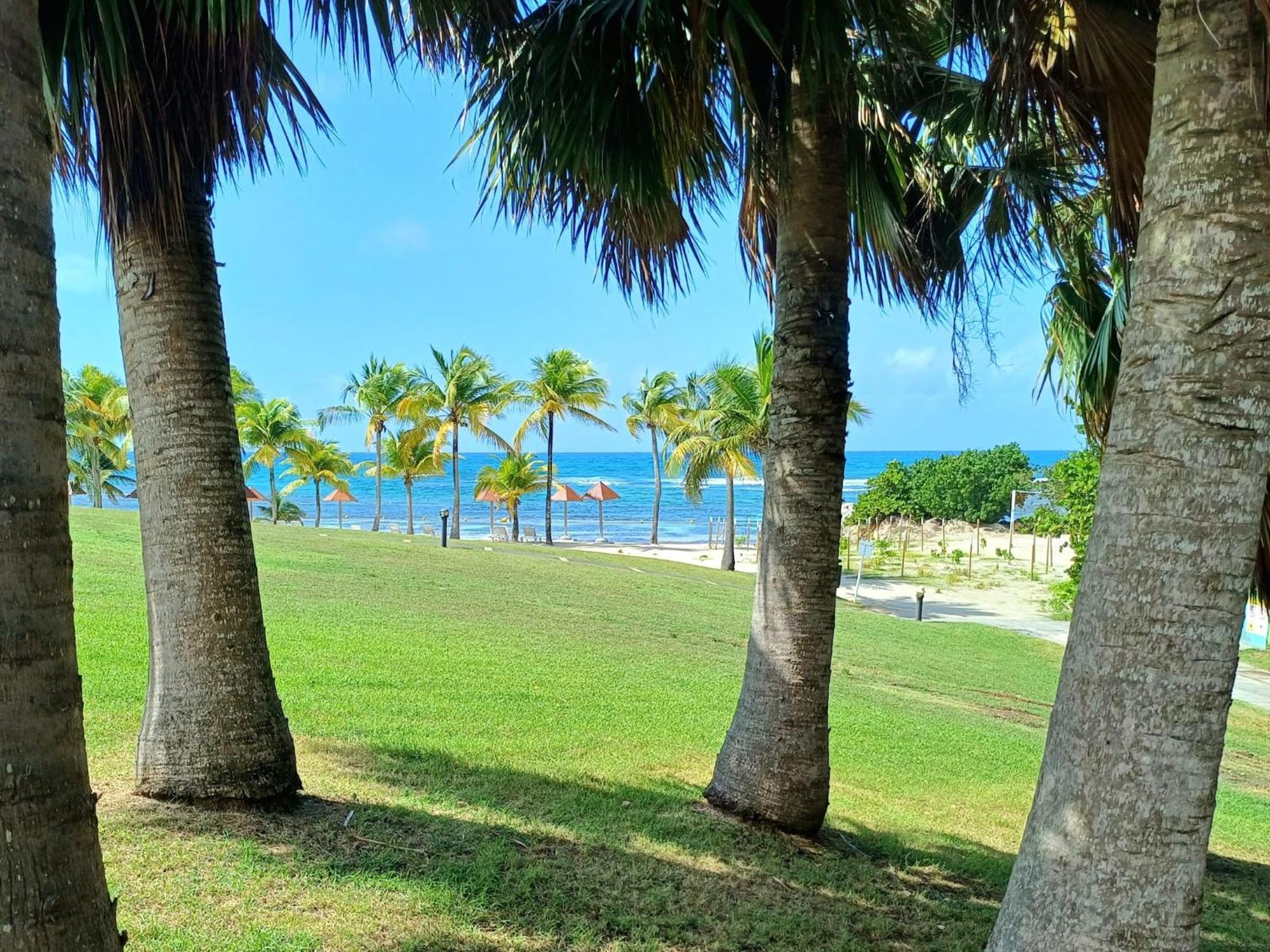 סנט-אן Studio Ti Karanbol Rdc Vue Mer Dans Residence De Tourisme מראה חיצוני תמונה